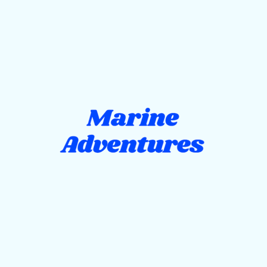 Positive Energy Adventures & Retreats