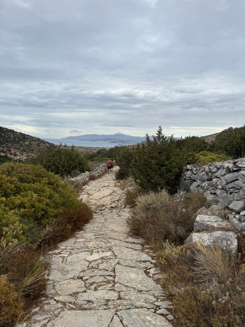 Positive Energy Adventures & Retreats